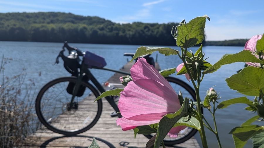 ✌️ Goodbye Goodreads